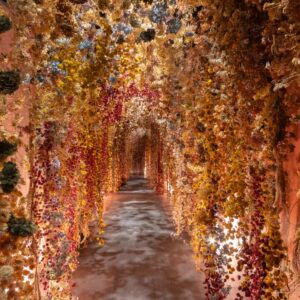 chiostro del bramante